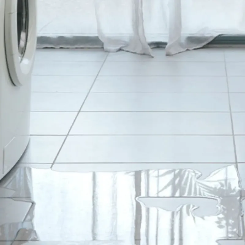 Appliance Leak Cleanup in Woodland, CA
