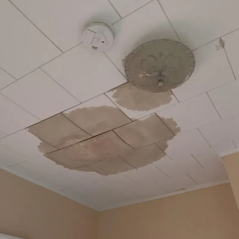 Ceiling Water Damage Repair in Woodland, CA